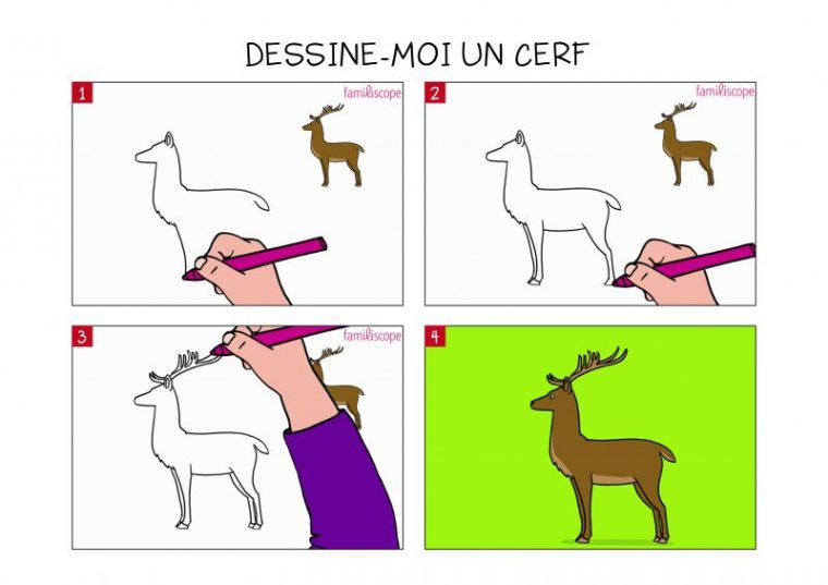 Apprendre À Dessiner Un Cerf En 3 Étapes concernant Dessin A Dessiner Facilement