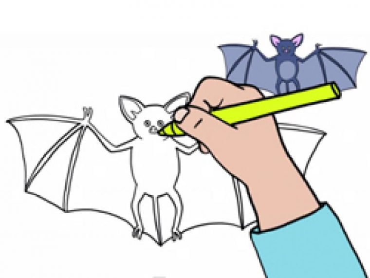 Apprendre À Dessiner Une Chauve-Souris destiné Comment Dessiner Une Souris