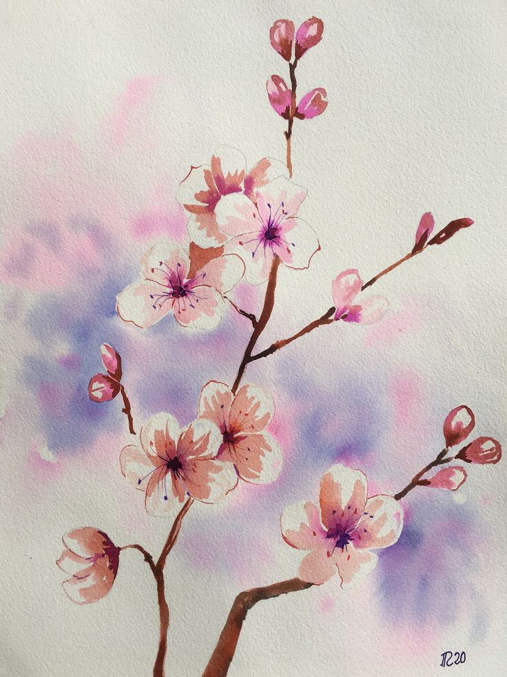 Aquarelle (2020) - Fleurs De Cerisier En 2020  Peinture, Fleur De encequiconcerne Dessin De Fleur 