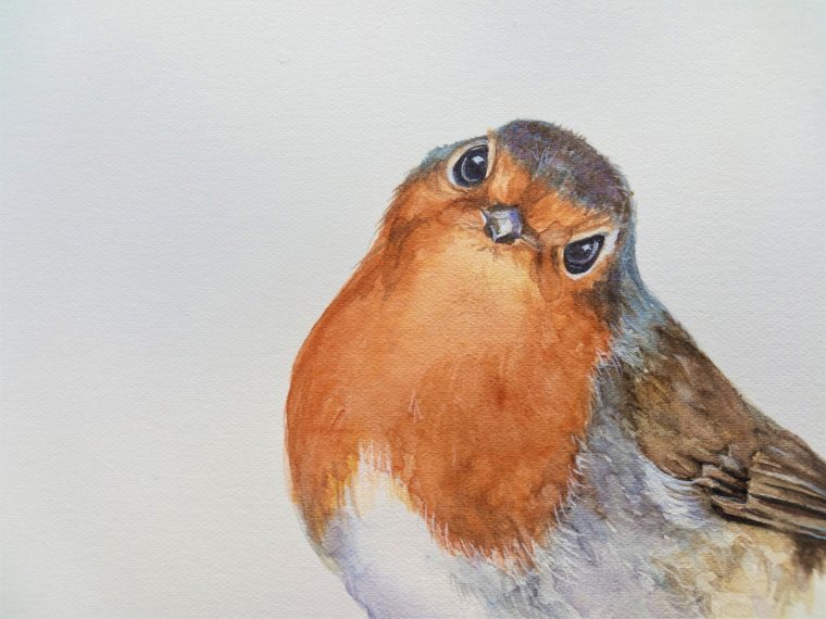 Aquarelle Originale Rouge-Gorge Peint À La Main Jardin Oiseau  Etsy pour Dessin Rouge Gorge