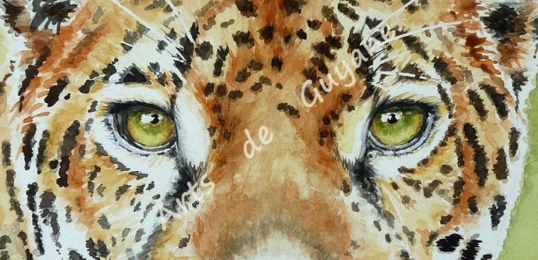 Aquarelles Animaux  Animaux, Peinture, Dessin concernant Animaux Dessin