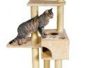 Arbre À Chat Alicante De 142 Cm (Trixie) - Consobrico  Cat Pet pour Arbre Pet Shop