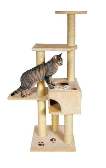 Arbre À Chat Alicante De 142 Cm (Trixie) - Consobrico  Cat Pet pour Arbre Pet Shop 