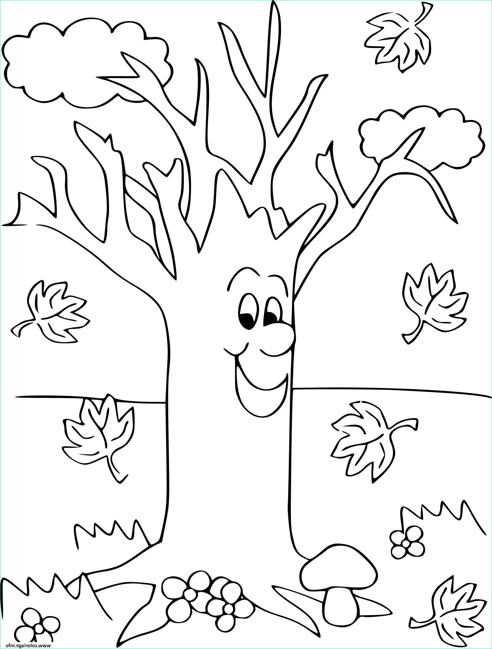 Arbre A Imprimer Beau Galerie Coloriage Arbre Automne Maternelle concernant Coloriages Arbres