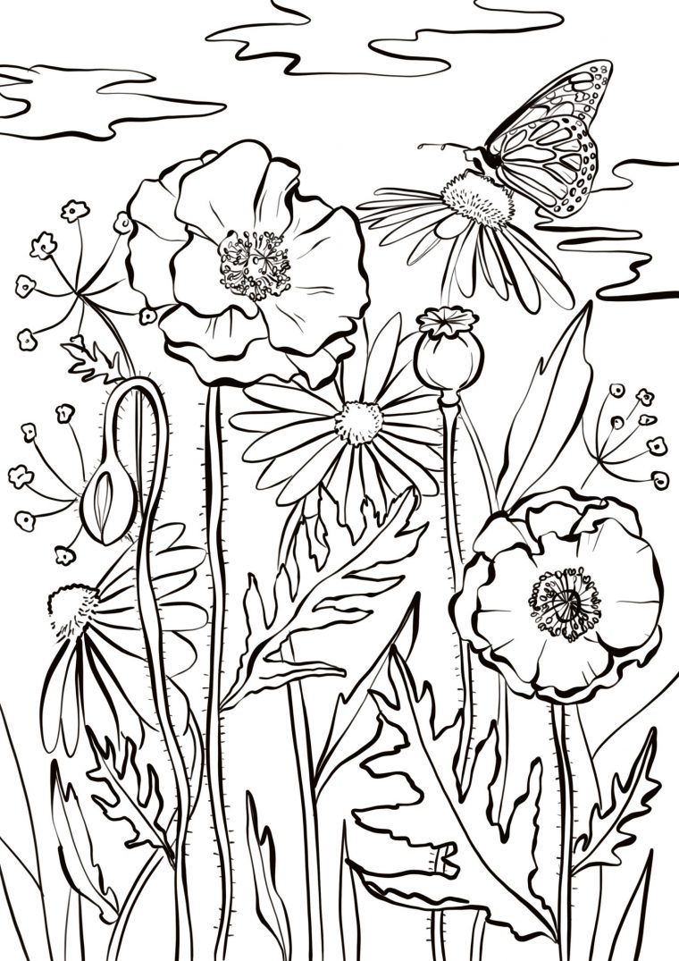 Atelier : 10 Coloriages À Imprimer Pour Petits Et Grands  Fizzer à Coloriage De Fleurs À Imprimer