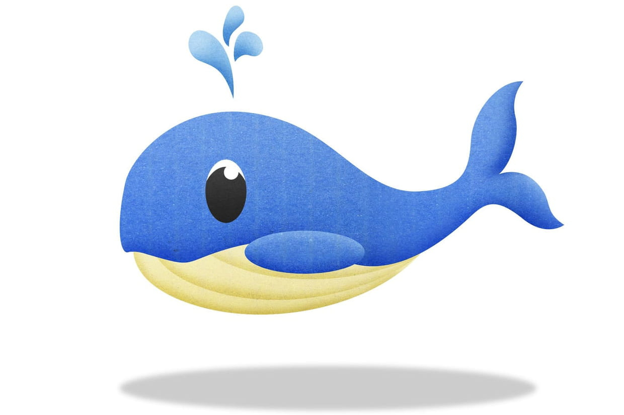 Baleine Bleue Dessin Couleur ~ News Word intérieur Comment Dessiner Une Baleine 