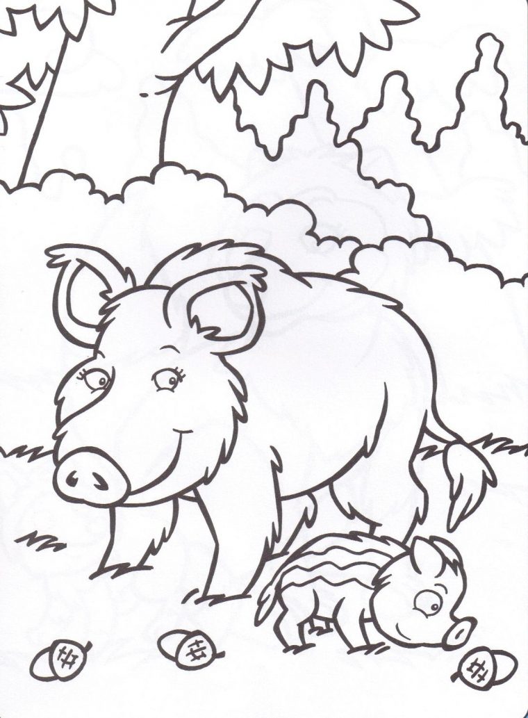 Belle Coloriage De Sanglier A Imprimer  Imprimer Et Obtenir Une intérieur Coloriage Chasseur À Imprimer