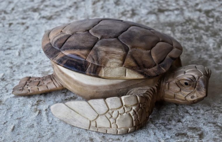 Boite En Forme De Tortue Marine En Bois De Suar 17Cm – Les Tresors De Bali pour Modele De Tortue