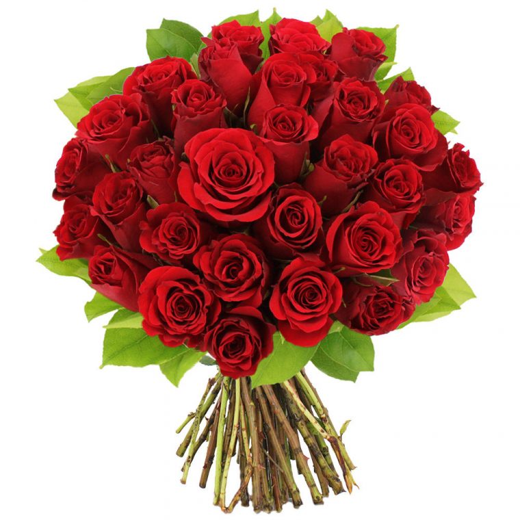 Bouquet De 30 Roses Rouges – Livraison En Express  Florajet avec Image Rose Rouge Gratuite