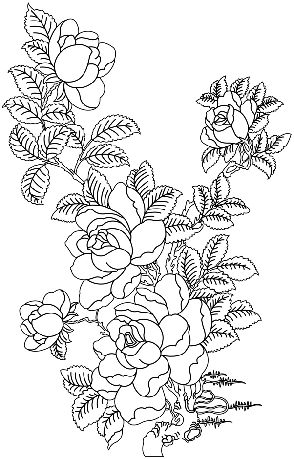 Bouquet De Fleurs Dessin Beau Galerie Bouquet De Fleurs Nature destiné Dessins De Bouquets De Fleurs À Imprimer 