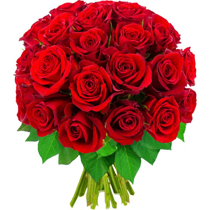 Bouquet De Rose Rouge - - Yahoo Image Search Results  Rose, Flowers concernant Image Rose Rouge Gratuite 