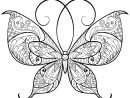 Butterflies To Color For Children - Butterflies Kids Coloring Pages concernant Dessin De Papillon