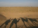 Camel Safari A Jaisalmer - Notre Petit Grain D'Asie avec Crie Du Chameau