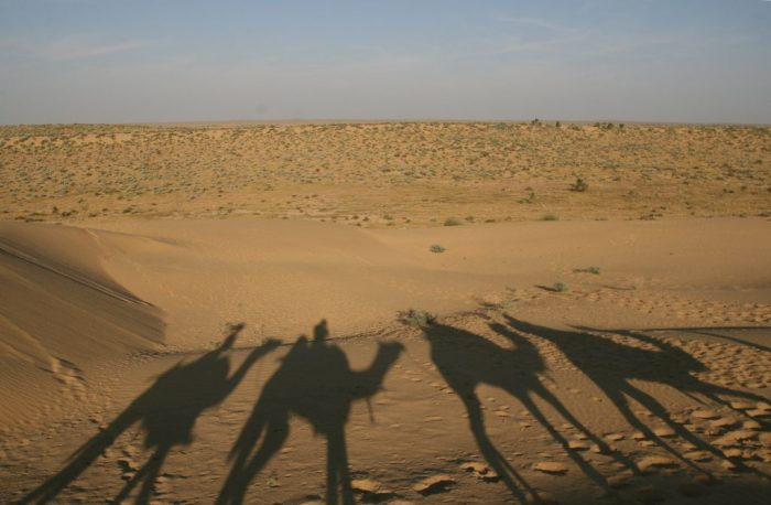 Camel Safari A Jaisalmer - Notre Petit Grain D'Asie avec Crie Du Chameau