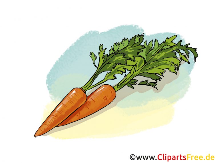 Carottes Images – Légume Clip Art Gratuit – Légumes Dessin, Picture pour Dessin Carotte