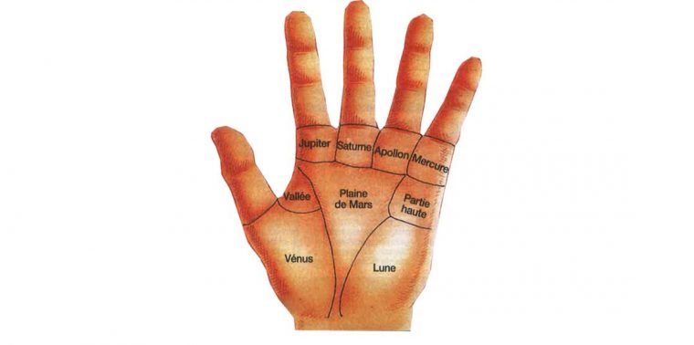 Chance, Coeur, Vie : Découvrez La Signification Des Lignes De La Main intérieur Ligne De Main