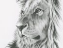 Charcoal Drawing, 8&quot;X10&quot; Original Lion Art, Lion Drawing, Lion Sketch serapportantà Lionne Dessin