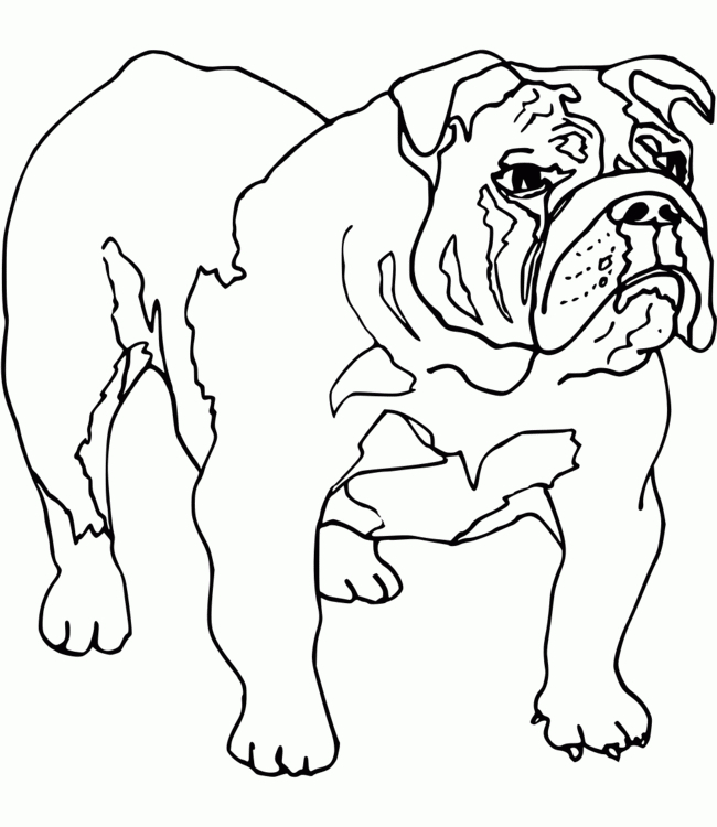 Chien - Coloriage De Chiens Gratuits - A Imprimer pour Coloriage De Chien Gratuit 