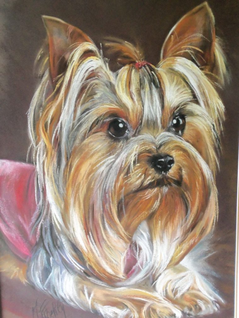 Chien Yorkshire Pastel (Peinture), 50X70 Cm Par Marylise Froehly Chien intérieur Photo De Chien A Imprimer En Couleur