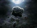Clair De Lune  Dessin Rose, Clair De Lune, Art Fantastique intérieur Dessin De Lune