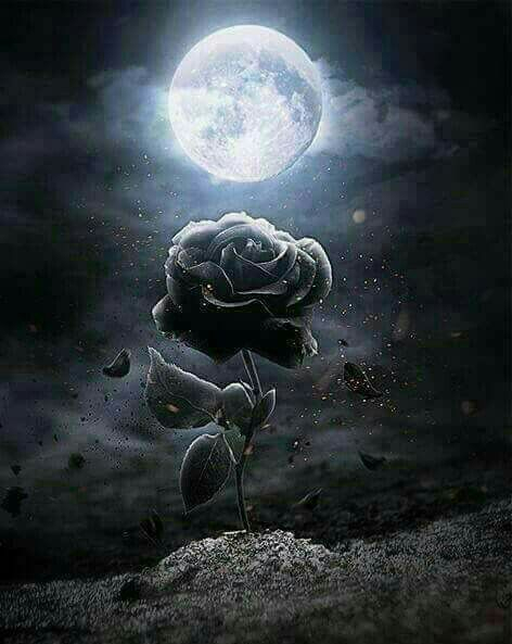 Clair De Lune  Dessin Rose, Clair De Lune, Art Fantastique intérieur Dessin De Lune 