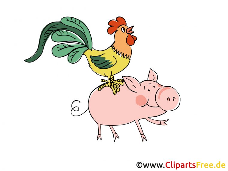 Cochon Coq Images – Ferme Dessins Gratuits – Ferme Dessin, Picture tout Cochon Dessin