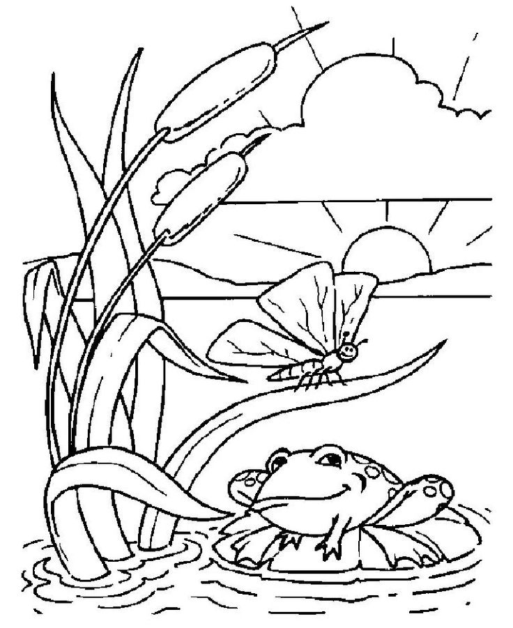 Coloriage A Imprimer Grenouille Dans Joli Etang Gratuit Et Colorier pour Dessin Grenouille À Imprimer 