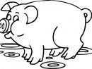 Coloriage À Imprimer, Un Cochon - Turbulus, Jeux Pour Enfants dedans Apprendre A Dessiner Un Cochon