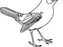Coloriage À Imprimer : Un Oiseau - Turbulus, Jeux Pour Enfants concernant Oiseau À Imprimer