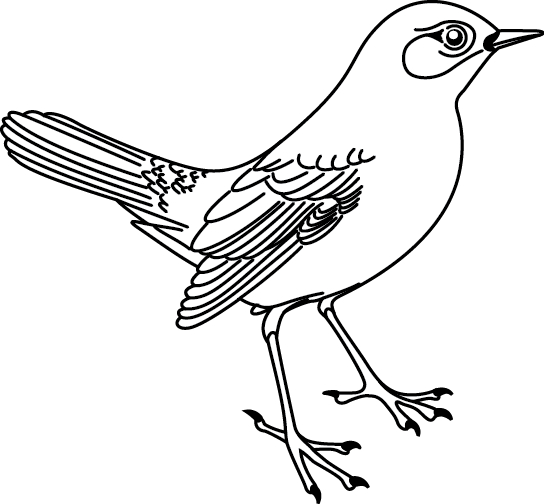 Coloriage À Imprimer : Un Oiseau - Turbulus, Jeux Pour Enfants concernant Oiseau À Imprimer 