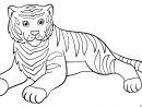 Coloriage Adorable Tigre Qui Se Repose Dessin Animaux De La Jungle À avec Coloriage Felin A Imprimer