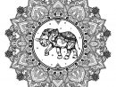 Coloriage Adulte Mandala Elephant Inde Dessin Adulte À Imprimer serapportantà Coloriage Adulte A Imprimer