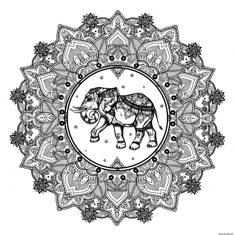 Coloriage Adulte Mandala Elephant Inde Dessin Adulte À Imprimer serapportantà Coloriage Adulte A Imprimer