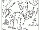 Coloriage Afrique Elephant  Coloriage, Coloriage Animaux, Animaux serapportantà Coloriage Animaux Savane