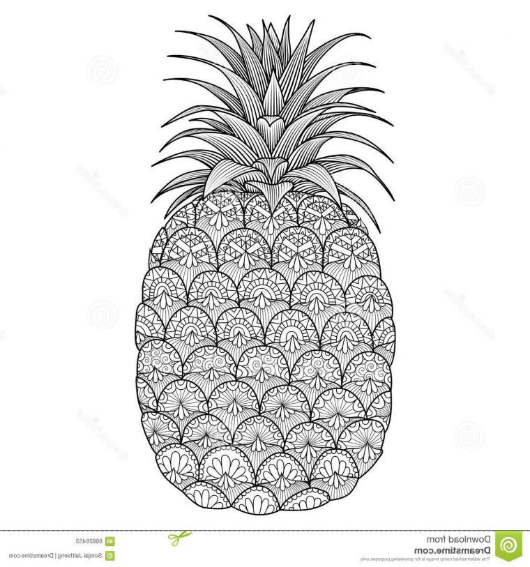 Coloriage Ananas Unique Photographie Conception Ananas De Schéma avec Ananas Coloriage