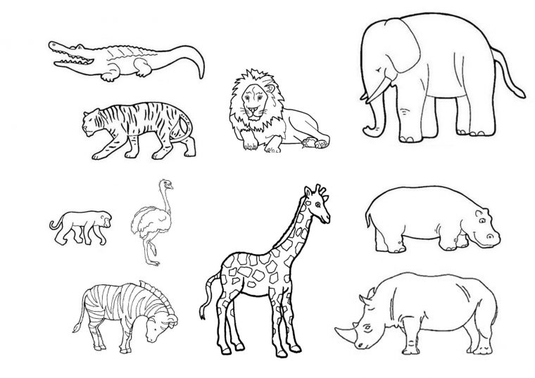 Coloriage Animaux De La Savane Impressionnant Photos Les Animaux De La pour Coloriage Animaux Savane