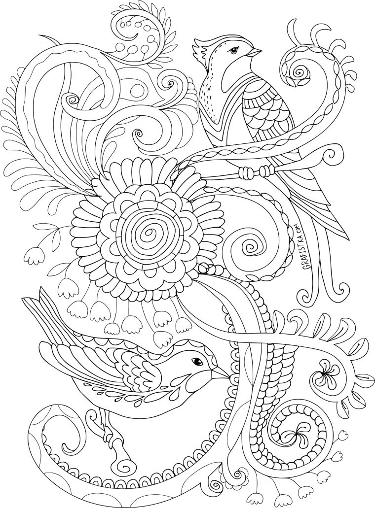 Coloriage Anti Stress Oiseaux À Imprimer destiné Dessin Pour Adulte À Imprimer