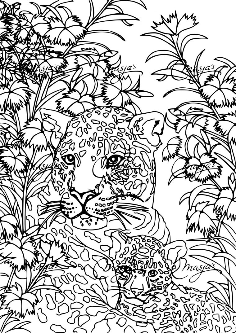 Coloriage Anti-Stress Tigre À Imprimer Sur Coloriages dedans Coloriage Adulte A Imprimer