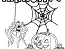 Coloriage Araignée Rigolote Et Citrouille Halloween à Coloriage De Citrouille A Imprimer