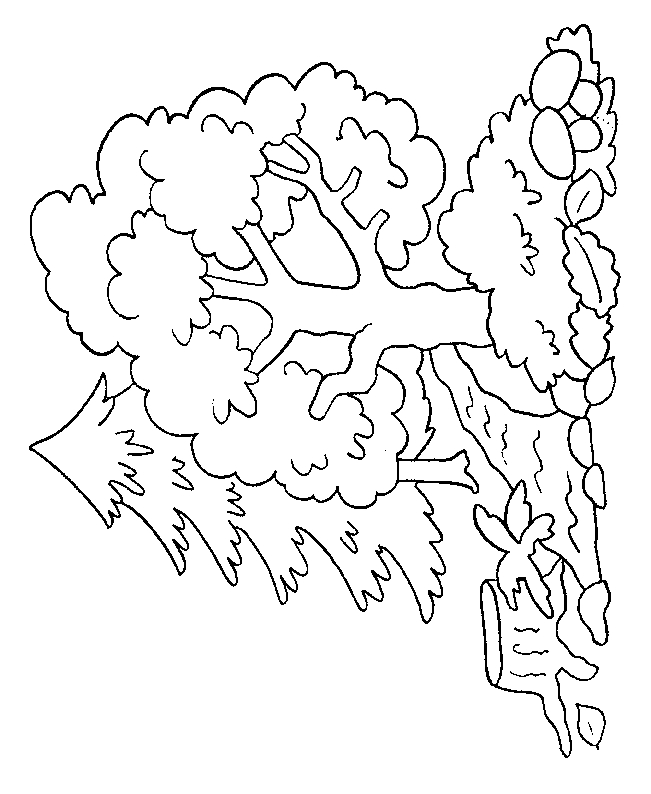 Coloriage Arbre #154741 (Nature) – Album De Coloriages intérieur Coloriages Arbres