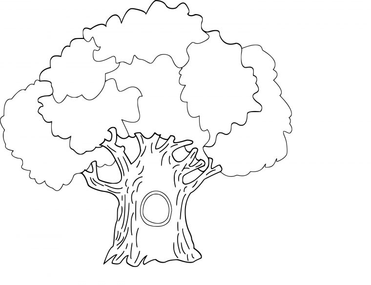 Coloriage Arbre Centenaire À Imprimer Sur Coloriages concernant Arbre À Colorier