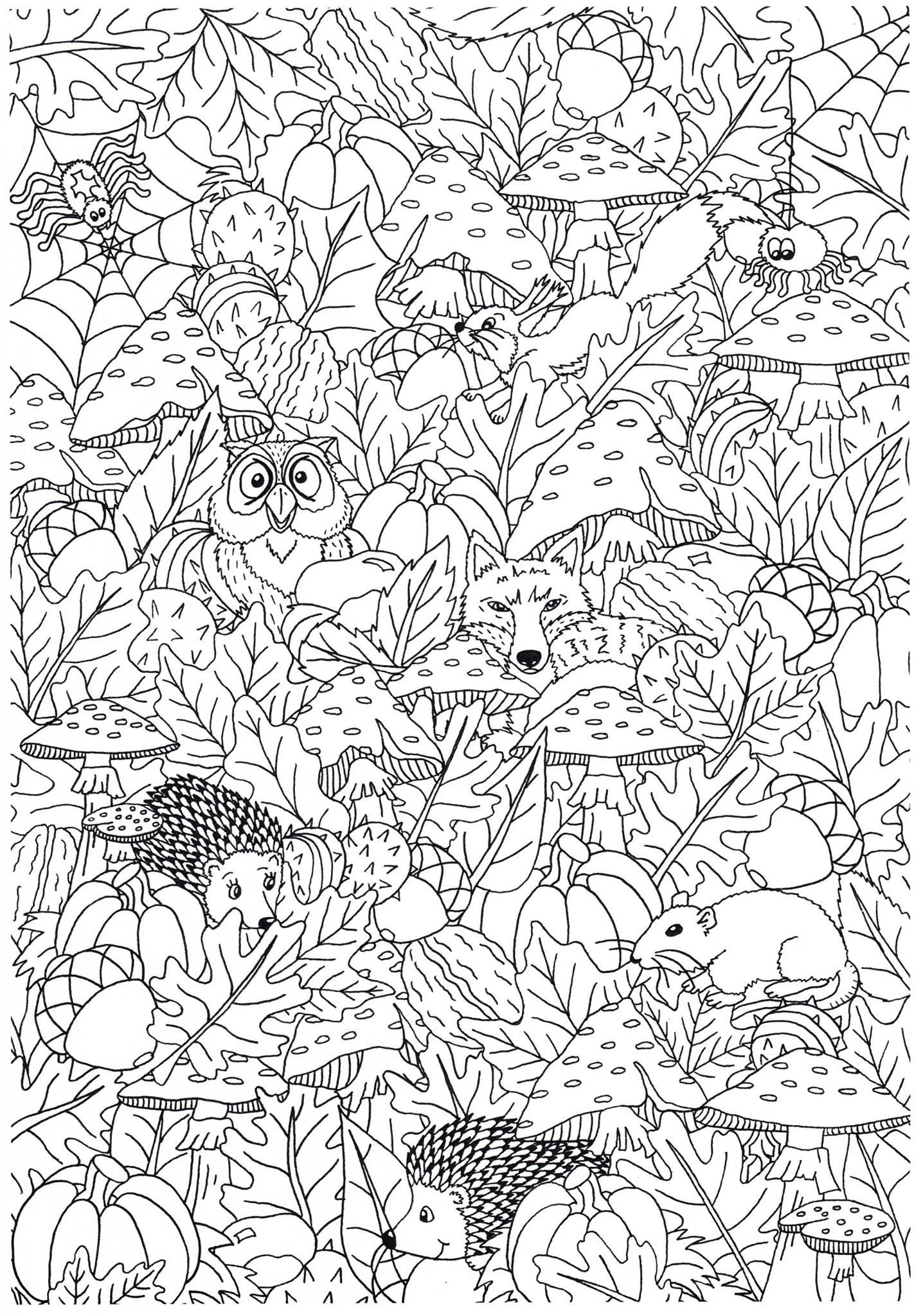 Coloriage Automne Dans La Forêt - Coloriages Gratuits À Imprimer dedans Coloriage De Foret A Imprimer 