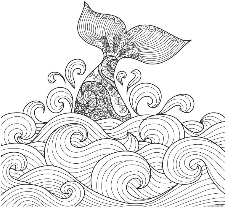 Coloriage Baleine Anti-Stress Adulte Animaux Par Bimbimkha Dessin avec Coloriage À Imprimer