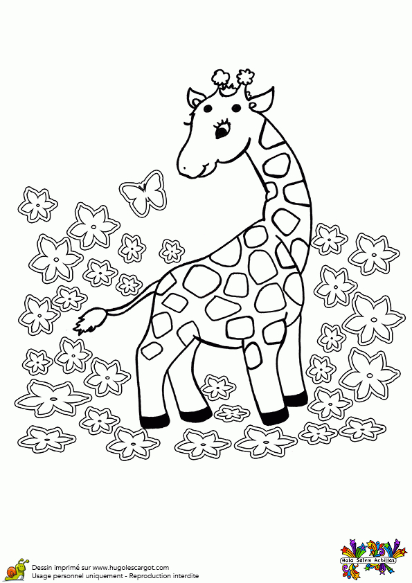 Coloriage Bebe Girafe Sur Hugolescargot intérieur Dessin Bébé Animaux 