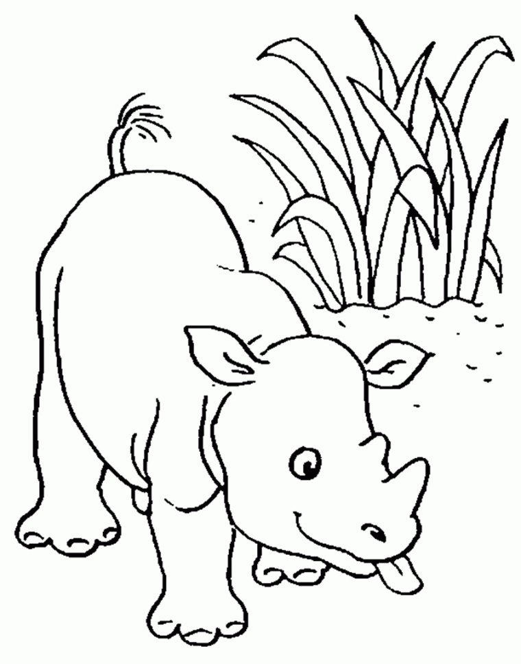 Coloriage Bébé Rhinocéros D'Afrique Gratuit À Imprimer – Afrocaneo avec Coloriage D Afrique A Imprimer