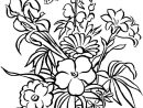 Coloriage Bouquet De Fleurs #161028 (Nature) - Album De Coloriages intérieur Coloriage Bouquet De Fleurs