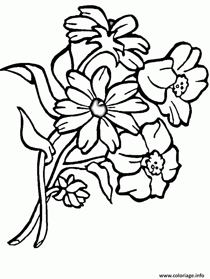 Coloriage Bouquet De Fleurs Sauvages Dessin Fleurs À Imprimer destiné Coloriage Bouquet De Fleurs 