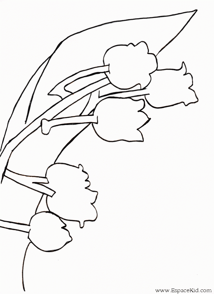 Coloriage Bouquet De Muguet À Imprimer Dans Les Coloriages Muguet dedans Coloriage Muguet A Imprimer