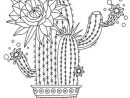 Coloriage Cactus - 100 Coloriages À Imprimer Gratuitement tout Coloriage Cactus