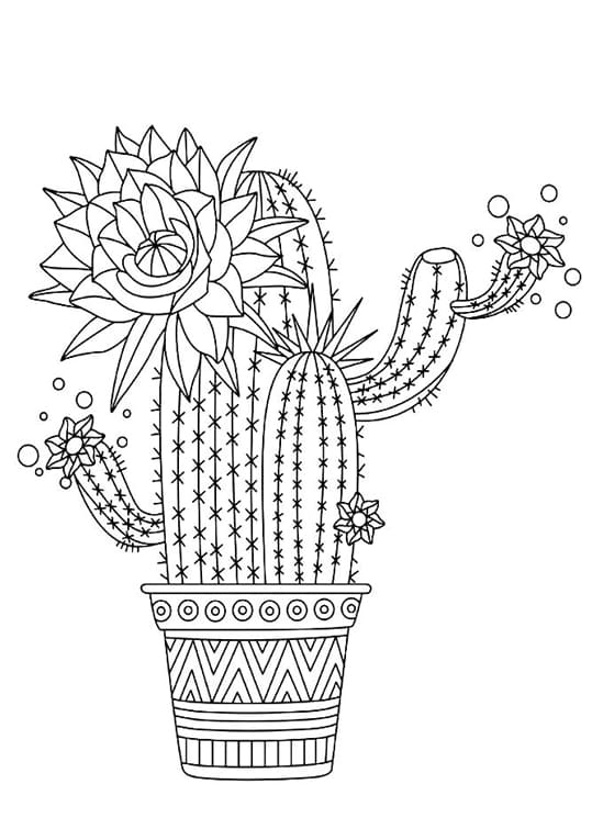 Coloriage Cactus - 100 Coloriages À Imprimer Gratuitement tout Coloriage Cactus 